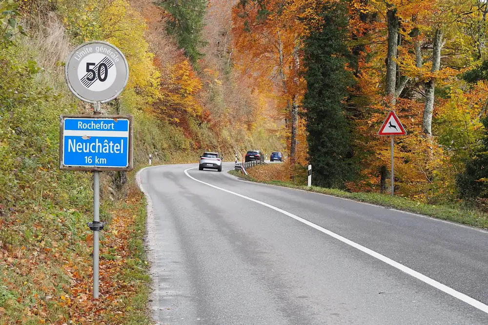 La route principale traversant la forêt à Brot-Dessous, en automne