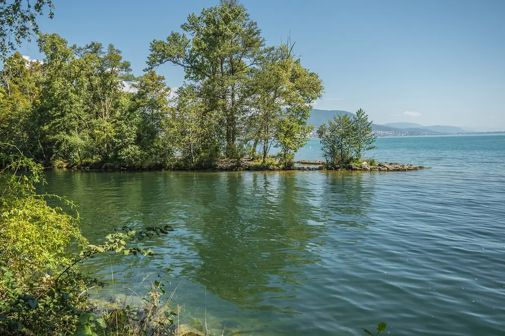 L'embouchure de l'Areuse dans le lac de Neuchâtel, à Cortaillod